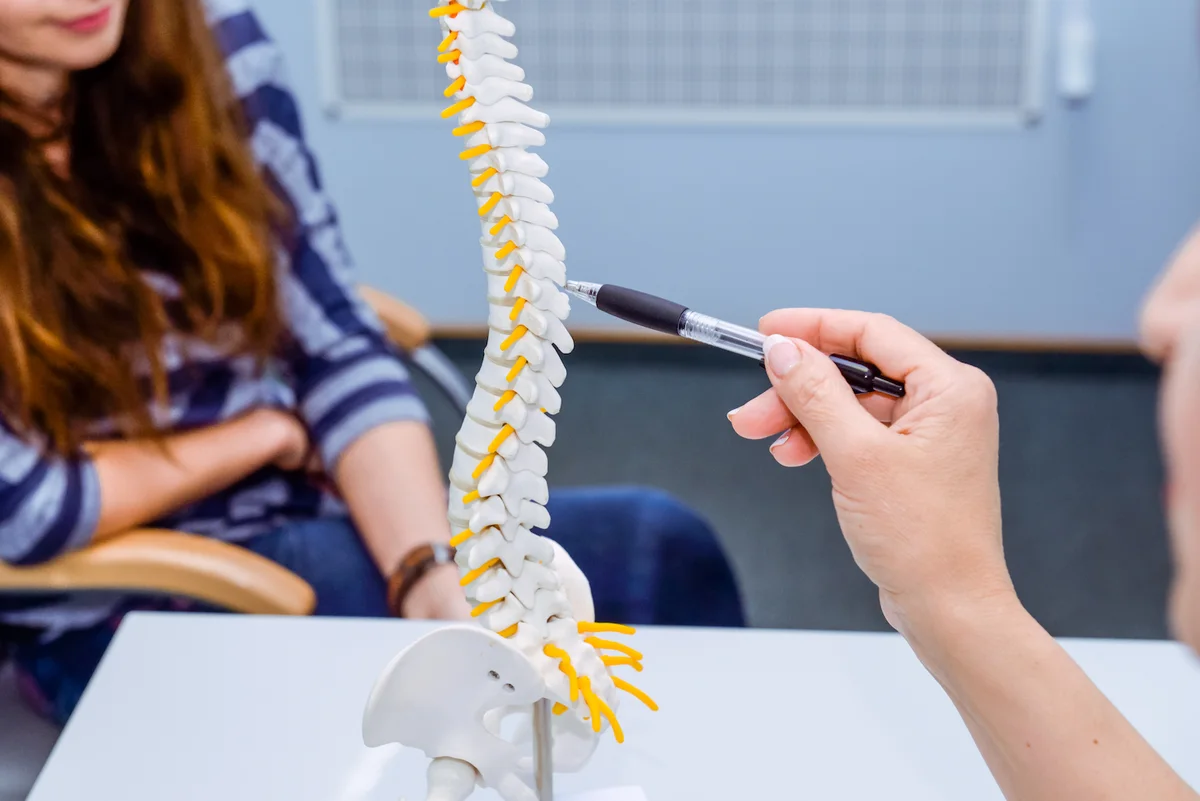 Spine model at the Optimize Health clinic